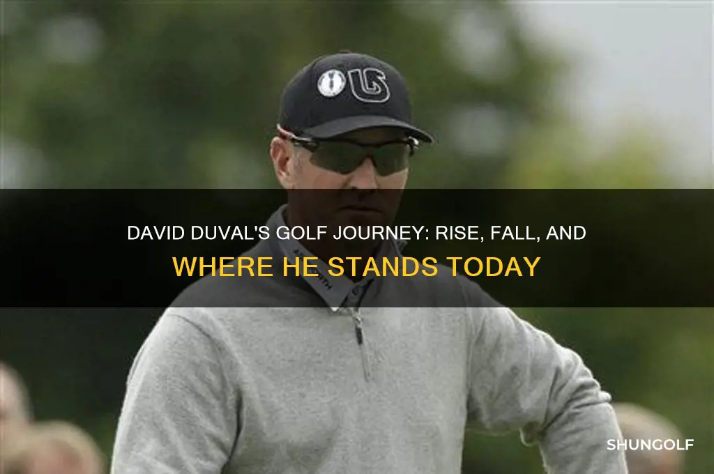 what happened to david duval golfer