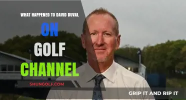 Golf Channel's David Duval: A Sudden Departure or New Chapter?