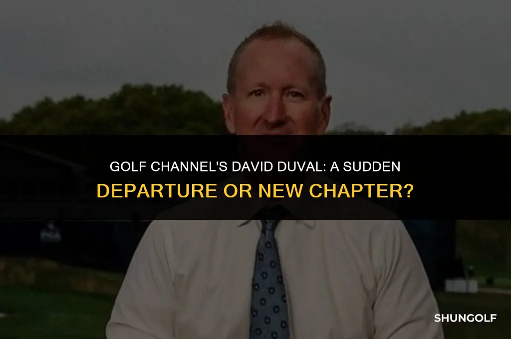 what happened to david duval on golf channel