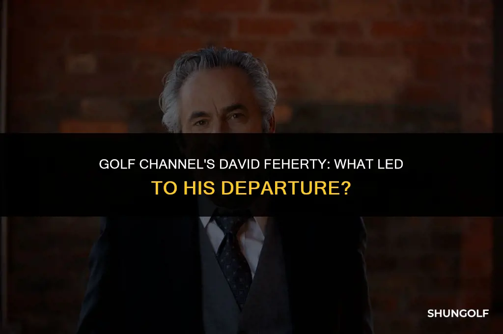 what happened to david feherty on the golf channel