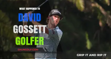 David Gossett's Golf Career: Rise, Fall, and Where He Is Now