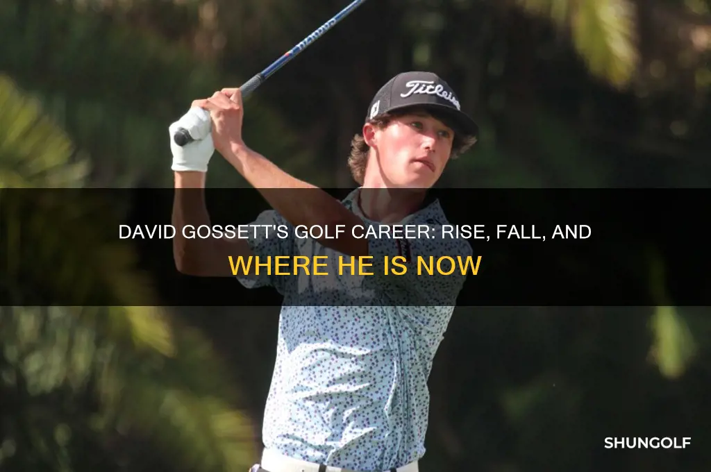 what happened to david gossett golfer