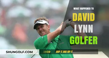 David Lynn Golfer: Unraveling His Disappearance from the Spotlight