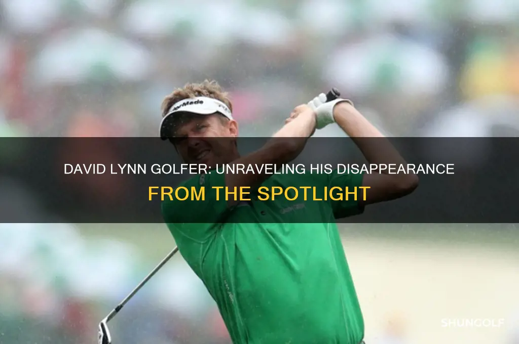 what happened to david lynn golfer