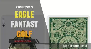 Eagle Fantasy Golf's Sudden Disappearance: Unraveling the Mystery
