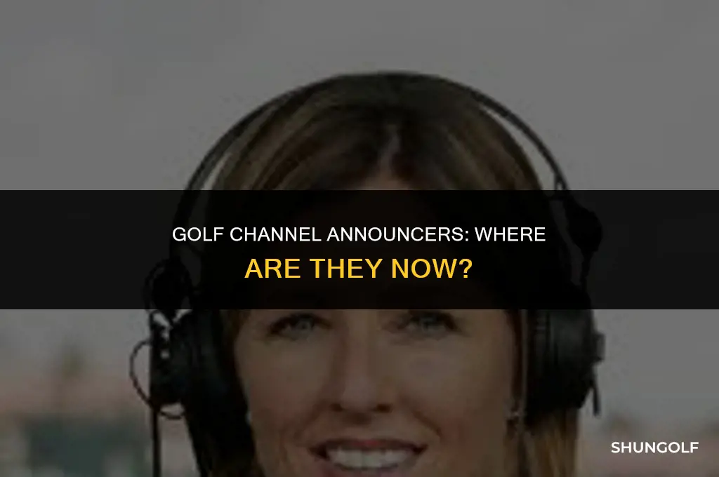 what happened to golf channel announcers