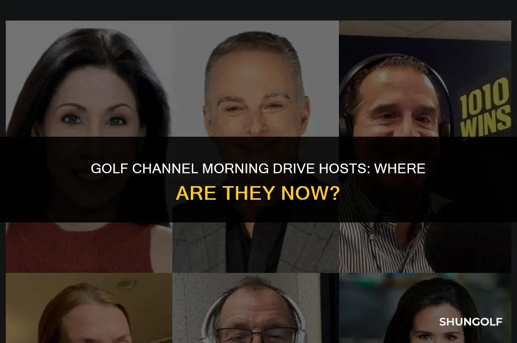 what happened to golf channel morning drive hosts
