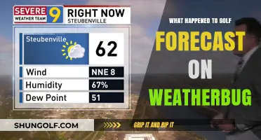 Golf Forecast Disappearance: What Happened to WeatherBug's Feature?