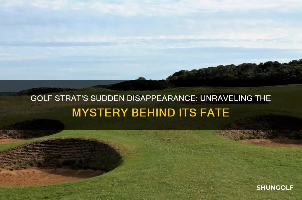 what happened to golf strat