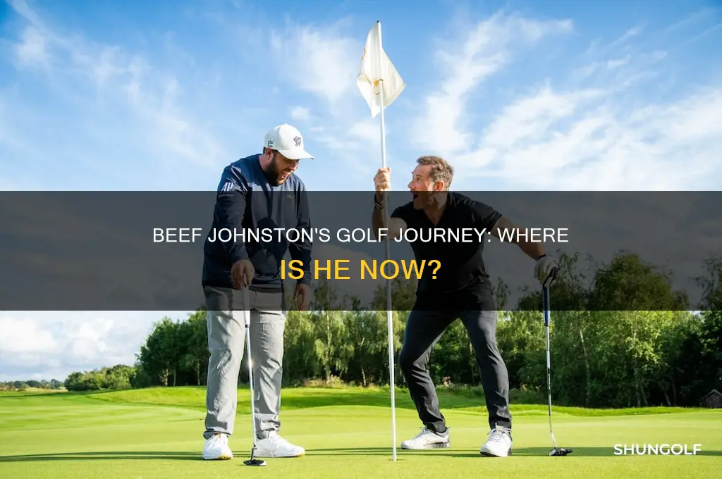 what happened to golfer beef johnston