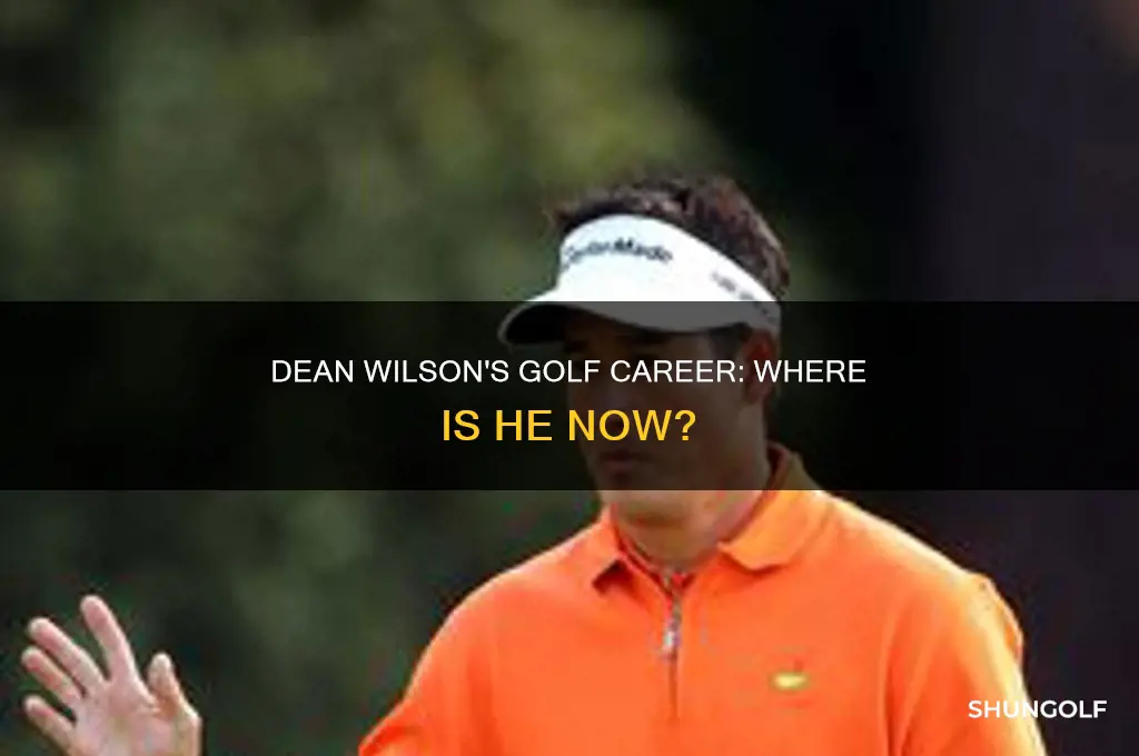 what happened to golfer dean wilson