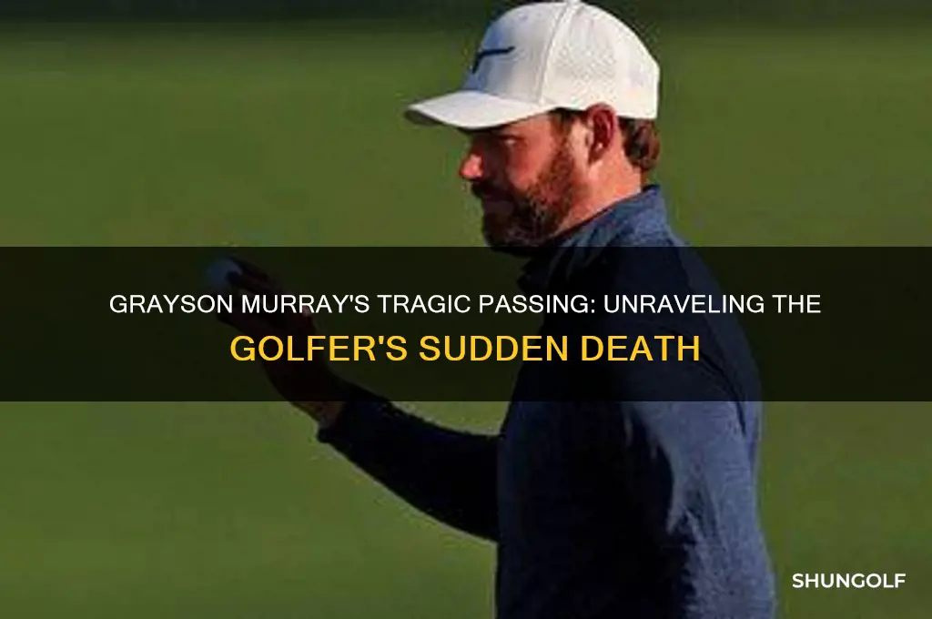 what happened to golfer grayson murry