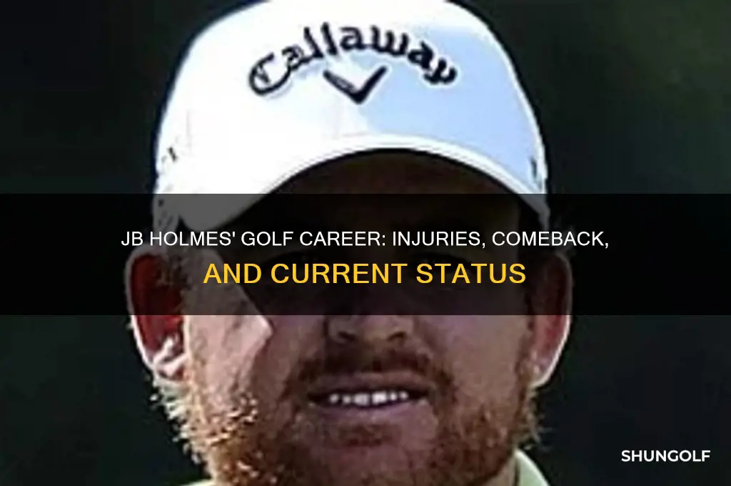 what happened to golfer jb holmes