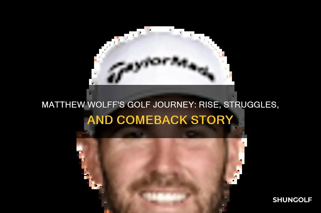 what happened to golfer matthew wolff