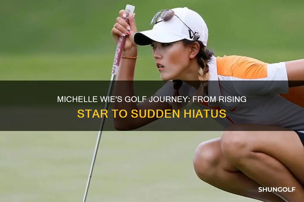 what happened to golfer michelle wie