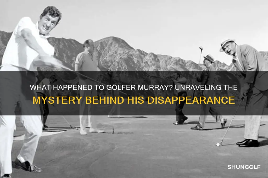 what happened to golfer murray