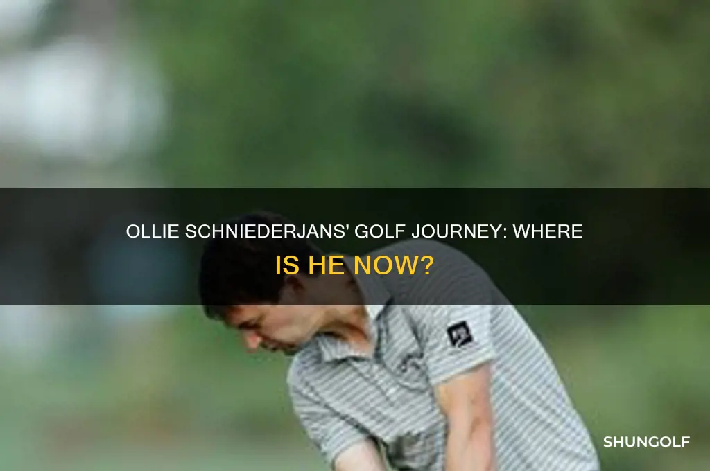 what happened to golfer ollie schniederjans