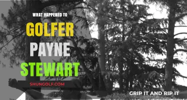The Tragic End of Golfer Payne Stewart: A Legacy Remembered