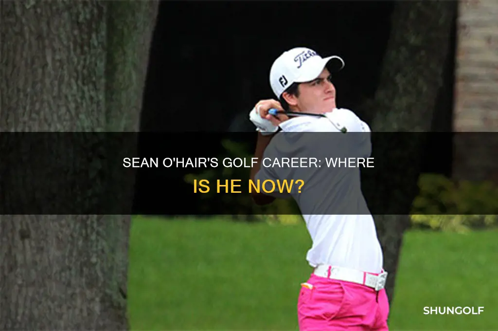 what happened to golfer sean o hair