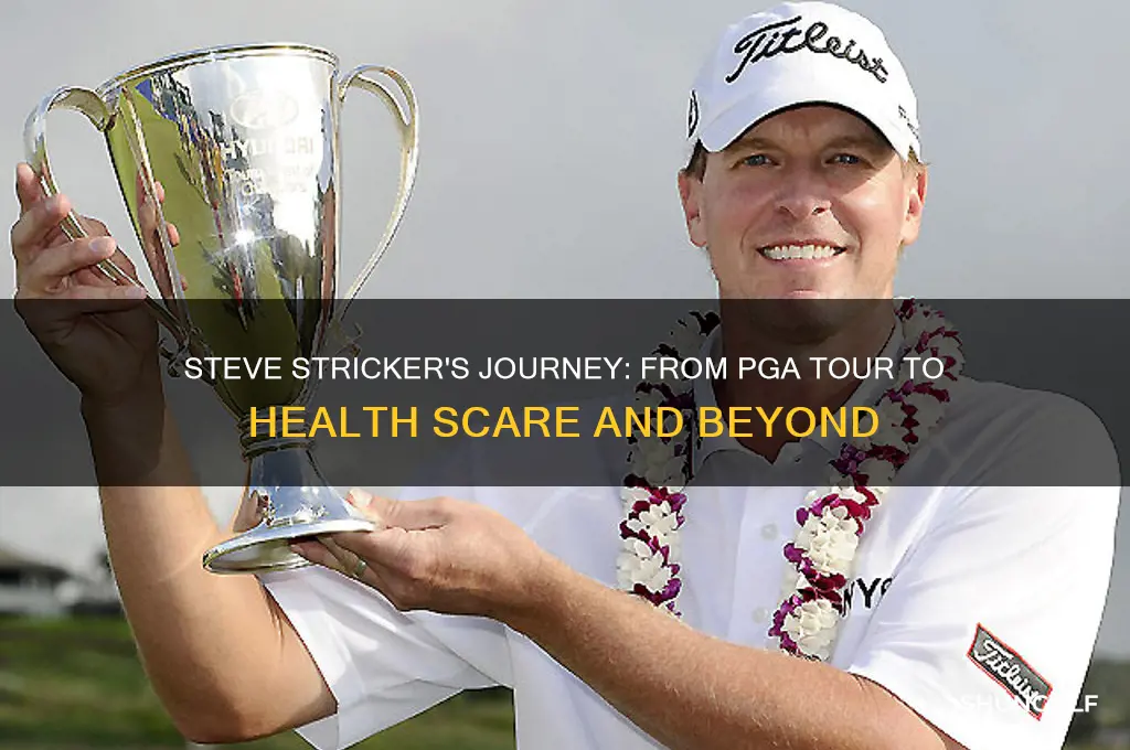 what happened to golfer steve stricker