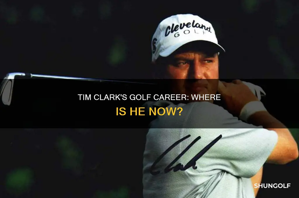 what happened to golfer tim clark