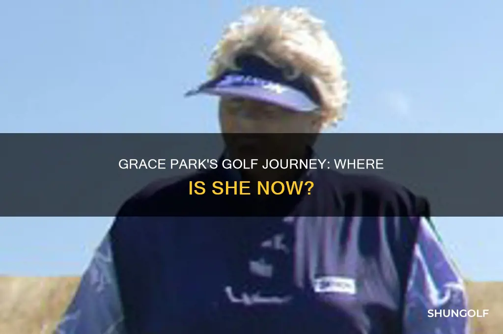 what happened to grace park the golfer