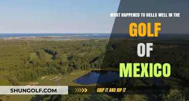 Hells Well's Mysterious Disappearance in the Gulf of Mexico Explained