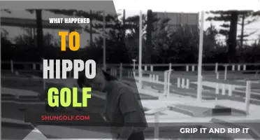 The Rise, Fall, and Legacy of Hippo Golf Explained