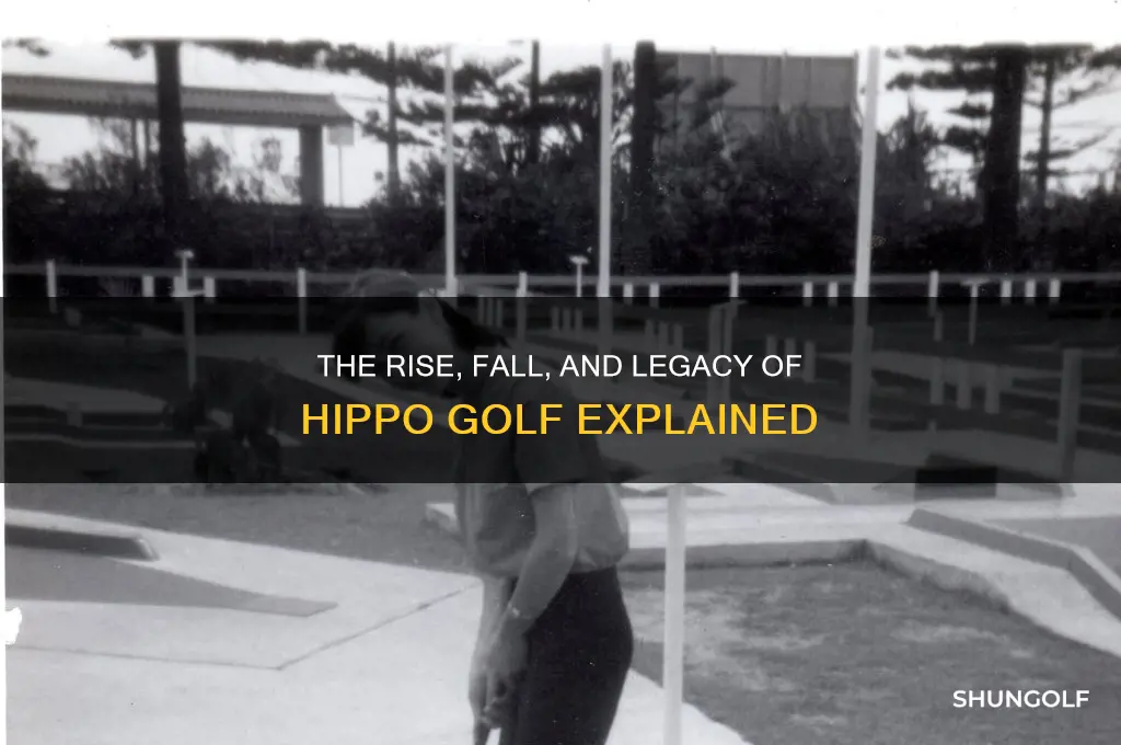 what happened to hippo golf