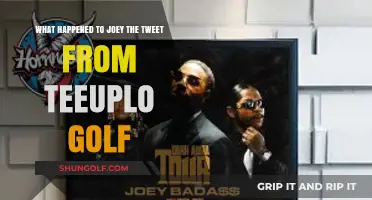 Joey the Tweet's Disappearance: Teeuplo Golf's Mystery Unraveled