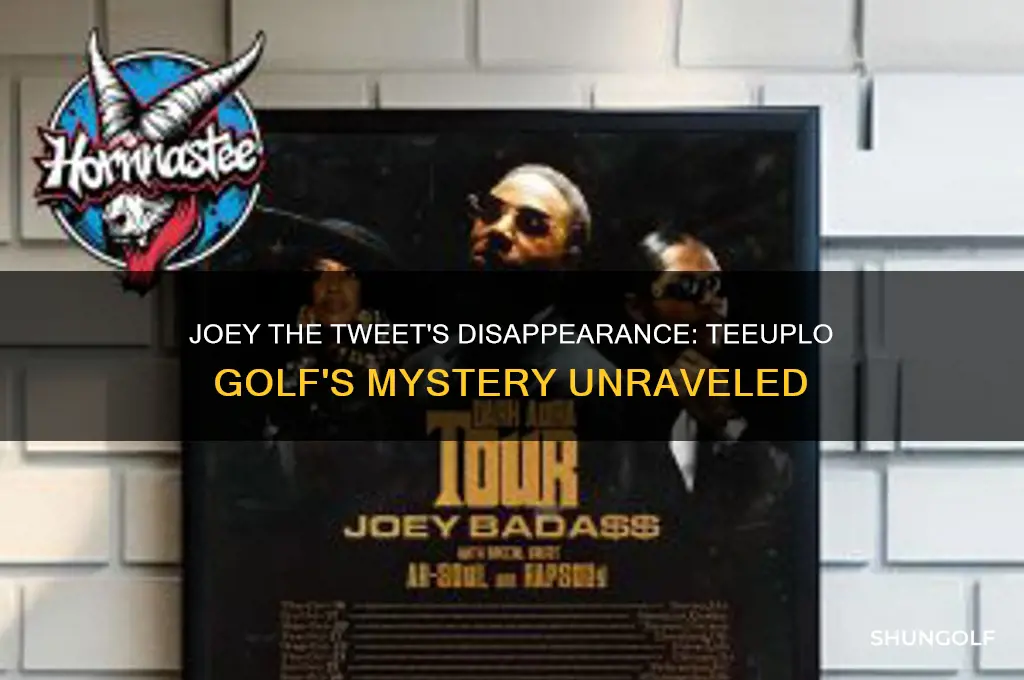 what happened to joey the tweet from teeuplo golf