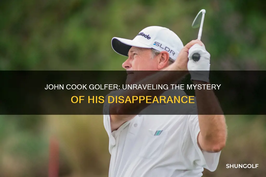 what happened to john cook golfer