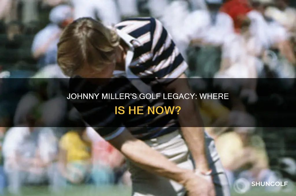what happened to johnny miller golf