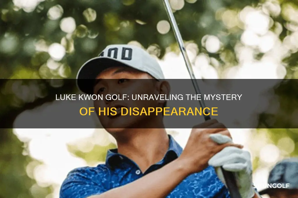 what happened to luke kwon golf