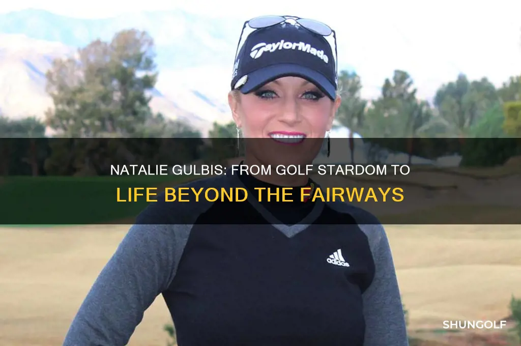 what happened to natalie gulbis the golfer