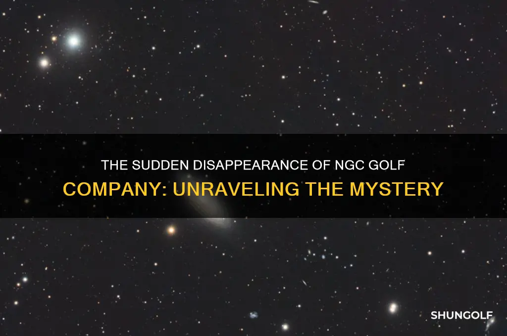 what happened to ngc golf company