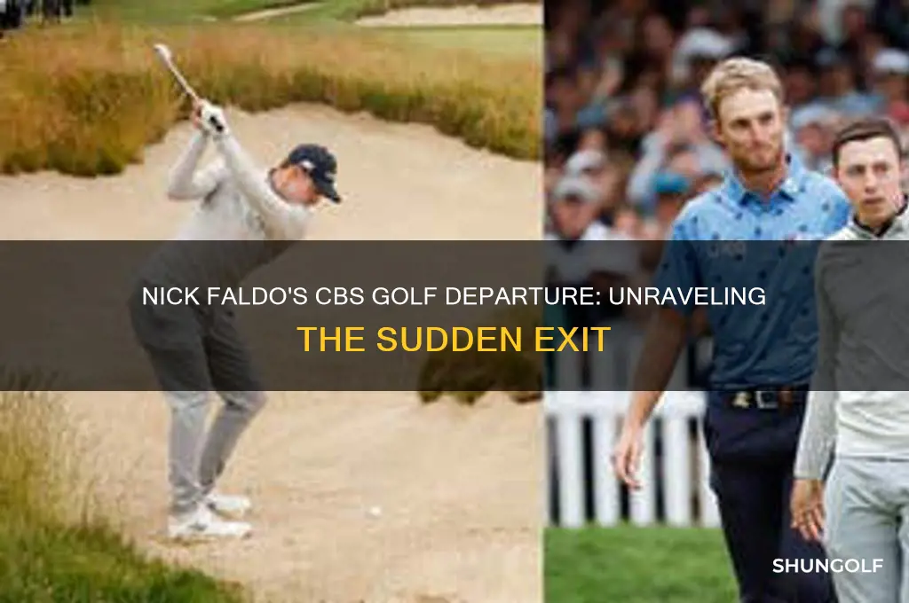 what happened to nick faldo on cbs golf