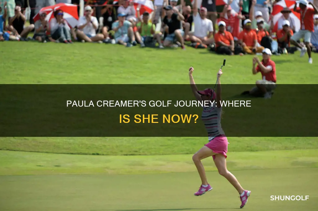 what happened to paula creamer the golfer