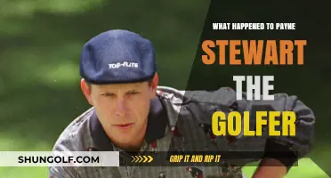 The Tragic Plane Crash That Claimed Golfer Payne Stewart's Life
