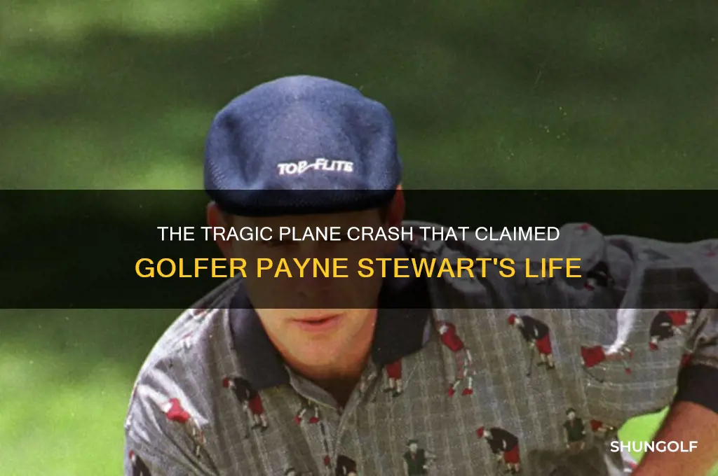 what happened to payne stewart the golfer