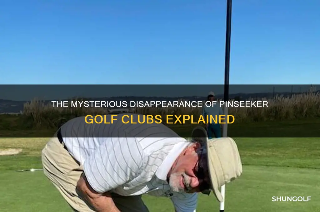 what happened to pinseeker golf clubs