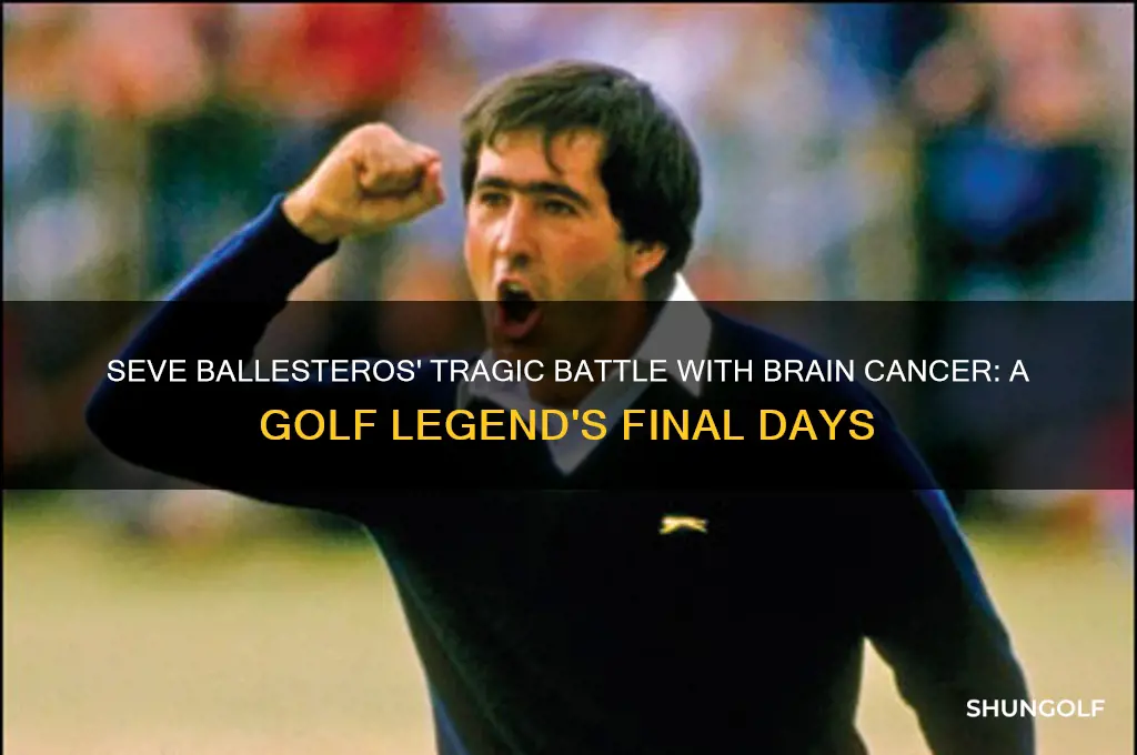 what happened to seve ballesteros the golfer