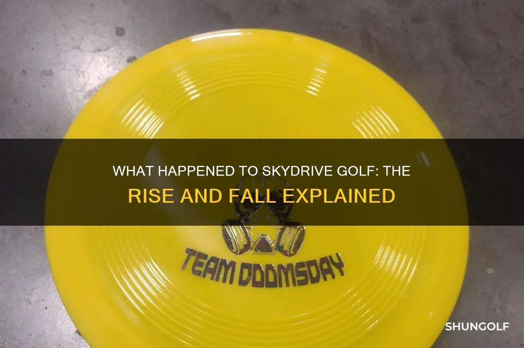 what happened to skydrive golf
