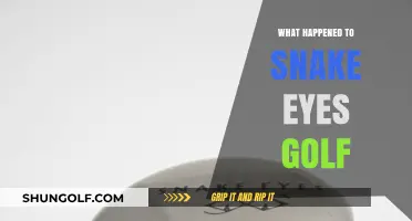 The Mysterious Disappearance of Snake Eyes Golf: What Really Happened?