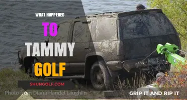 What Happened to Tammy Golf? Uncovering Her Sudden Disappearance