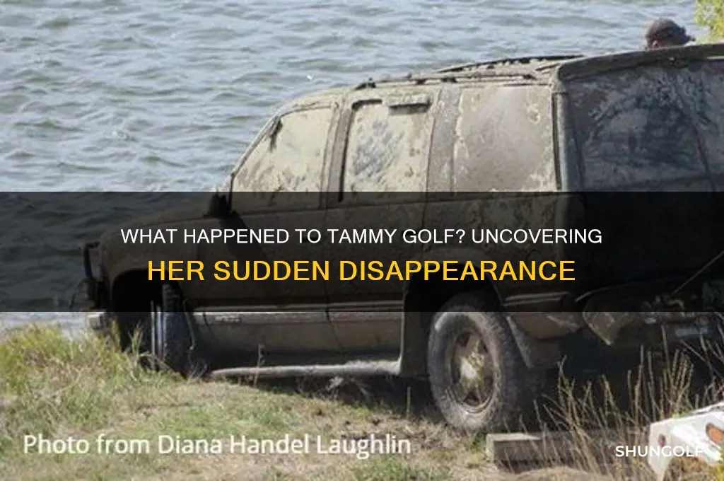 what happened to tammy golf