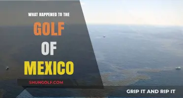 The Gulf of Mexico Crisis: Causes, Impact, and Recovery Efforts