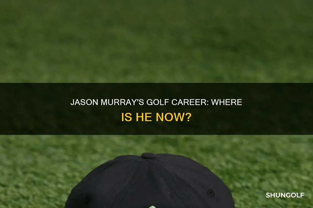 what happened to the golfer jason murray