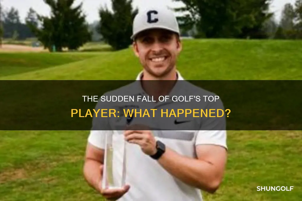 what happened to the number one golfer