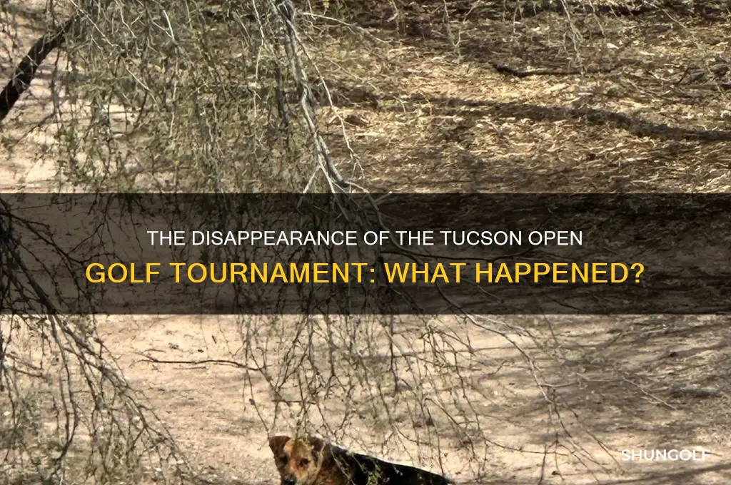what happened to the tuson open golf tourney